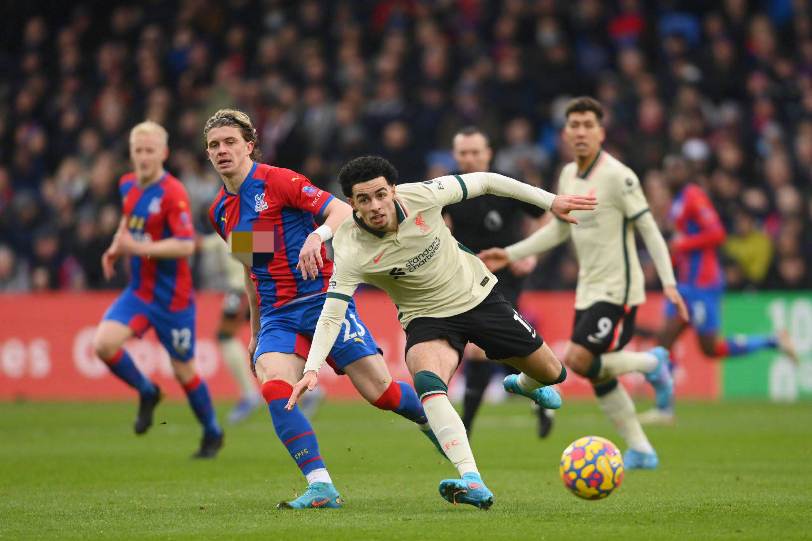 机会发挥其 机会发挥其