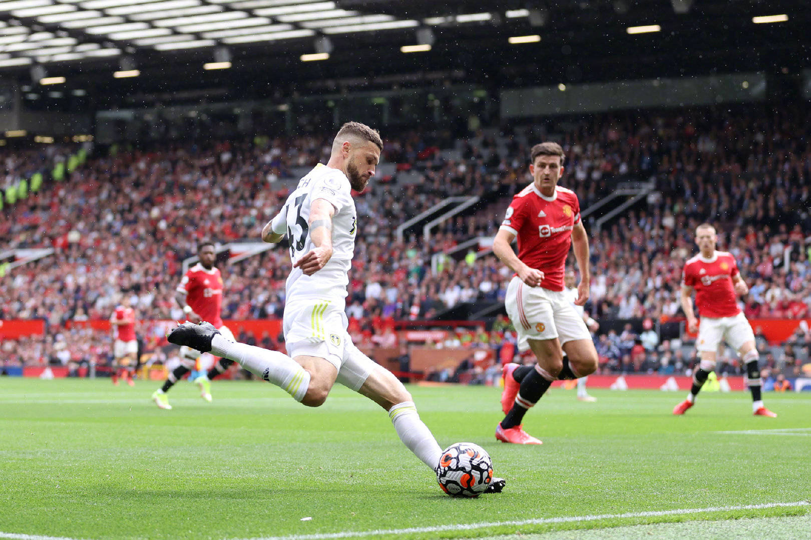 以惊人的速 以惊人的速