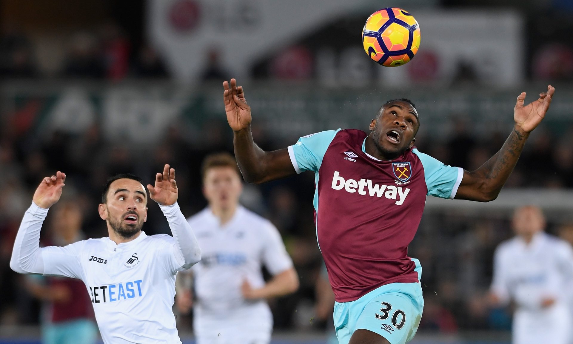 里皮都因种 里皮都因种